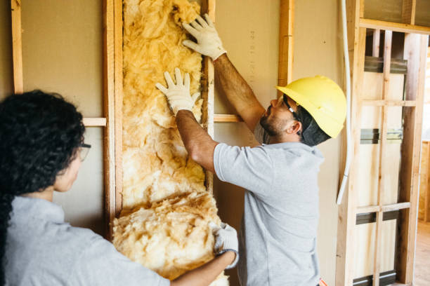 Best Insulation for New Construction  in Altus, OK